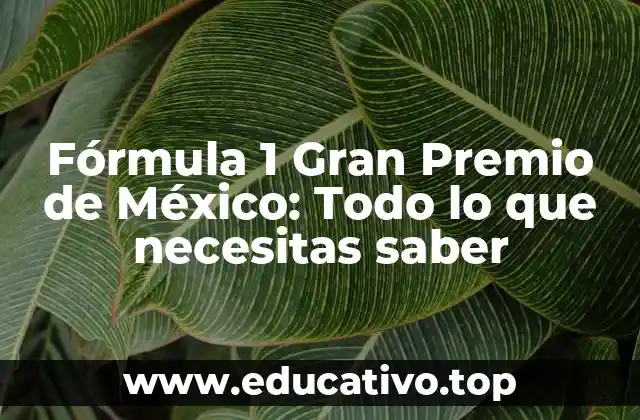Fórmula 1 Gran Premio de México: Todo lo que necesitas saber