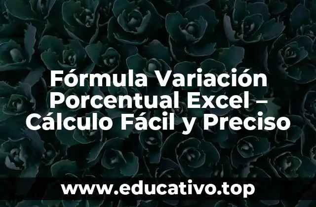 Fórmula Variación Porcentual Excel – Cálculo Fácil y Preciso