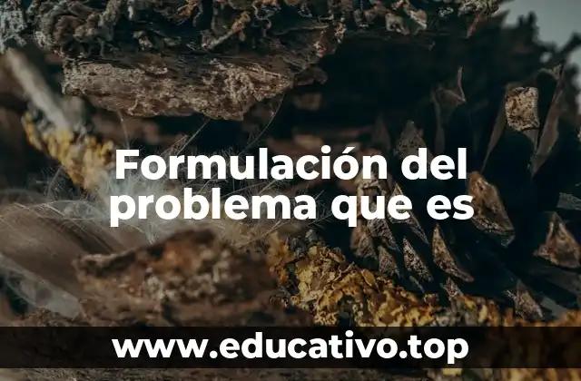 Formulación del problema que es