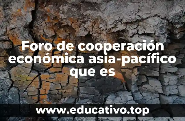 Foro de cooperación económica asia-pacífico que es