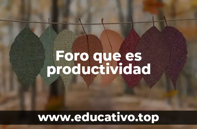 Foro que es productividad