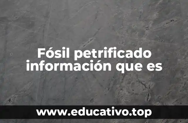 Fósil petrificado información que es
