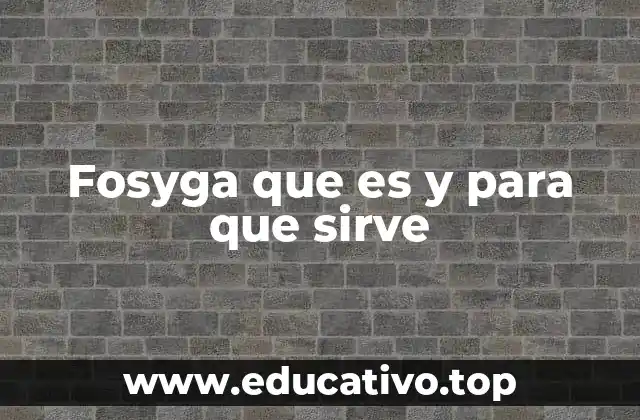 Fosyga que es y para que sirve
