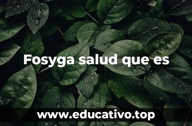 Fosyga salud que es