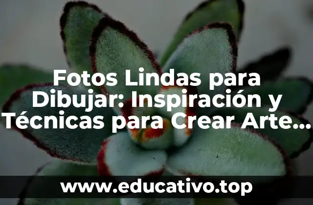 Fotos Lindas para Dibujar: Inspiración y Técnicas para Crear Arte Único