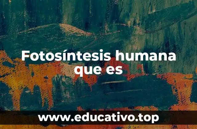 Fotosíntesis humana que es