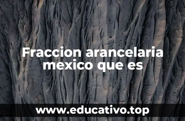 Fraccion arancelaria mexico que es