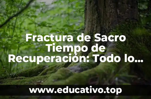 Fractura de Sacro Tiempo de Recuperación: Todo lo que Necesitas Saber