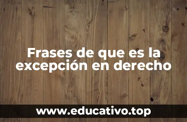 Frases de que es la excepción en derecho