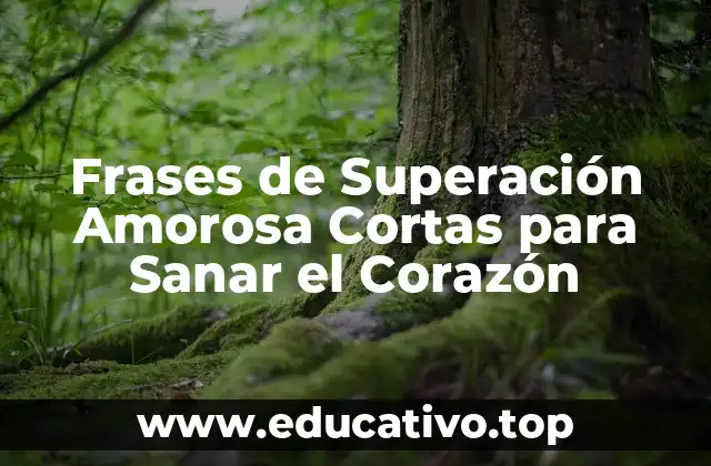 Frases de Superación Amorosa Cortas para Sanar el Corazón