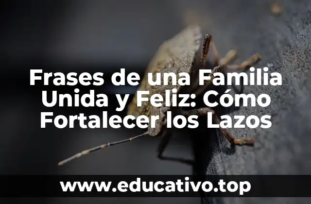 Frases de una Familia Unida y Feliz: Cómo Fortalecer los Lazos