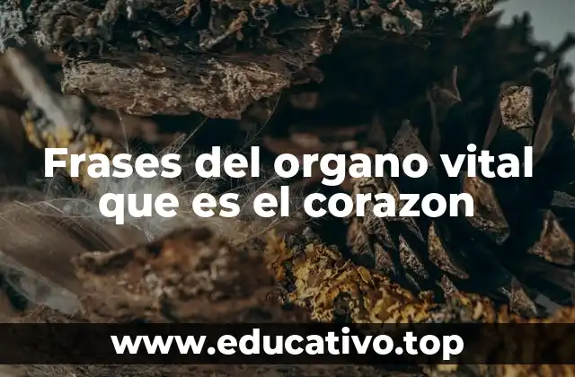 El corazón como símbolo universal de vida y emoción