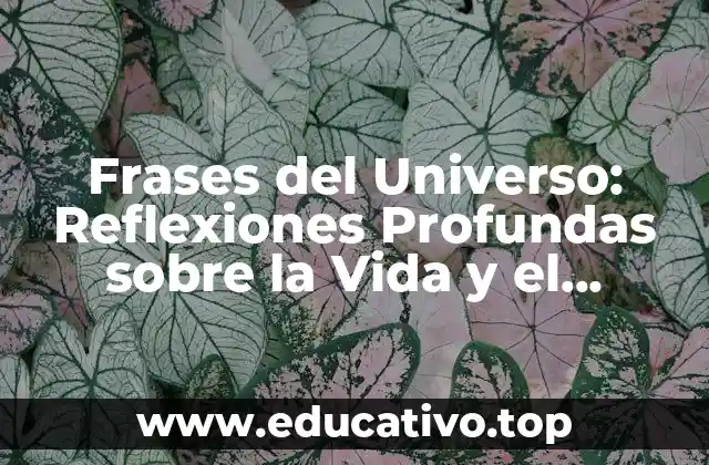 Frases del Universo: Reflexiones Profundas sobre la Vida y el Cosmos