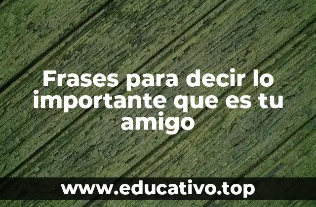 La importancia de reconocer el valor de una amistad