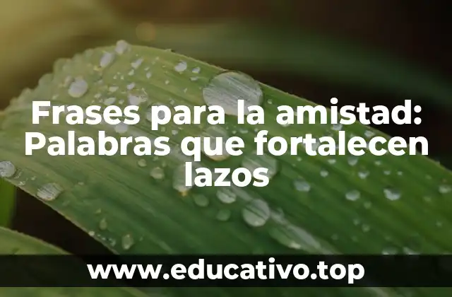Frases para la amistad: Palabras que fortalecen lazos