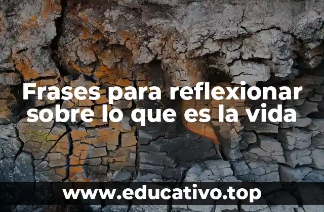 Frases para reflexionar sobre lo que es la vida