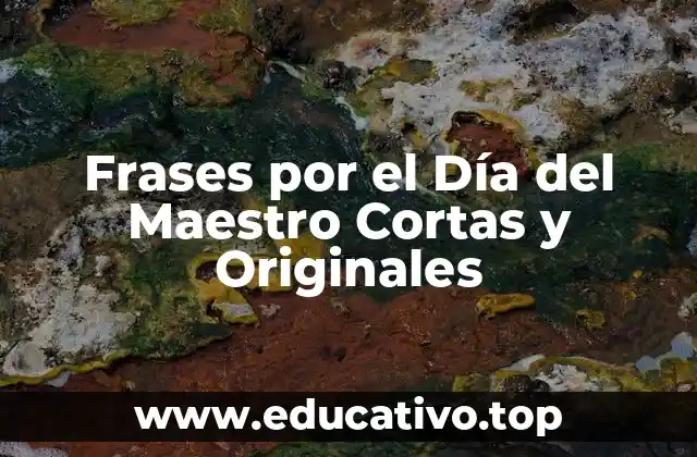 Frases por el Día del Maestro Cortas y Originales