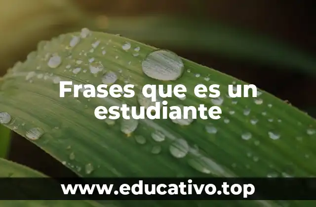 Frases que es un estudiante