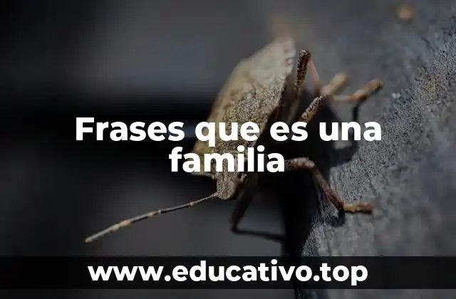 Frases que es una familia