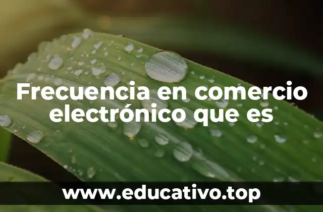 Frecuencia en comercio electrónico que es