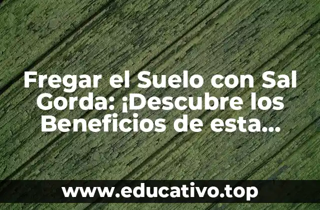 Fregar el Suelo con Sal Gorda: ¡Descubre los Beneficios de esta Técnica de Limpieza Natural!