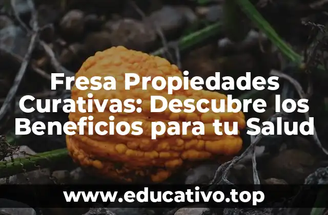 Fresa Propiedades Curativas: Descubre los Beneficios para tu Salud
