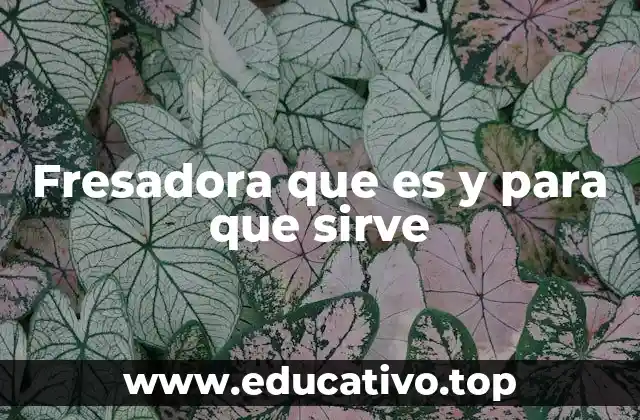 Fresadora que es y para que sirve