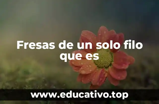 Fresas de un solo filo que es