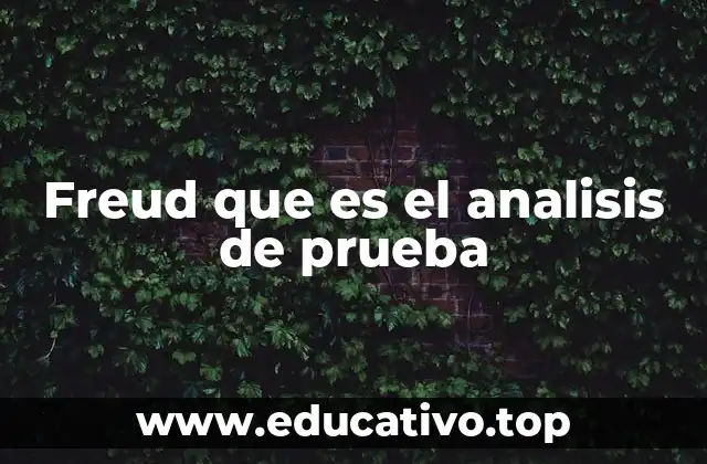 Freud que es el analisis de prueba