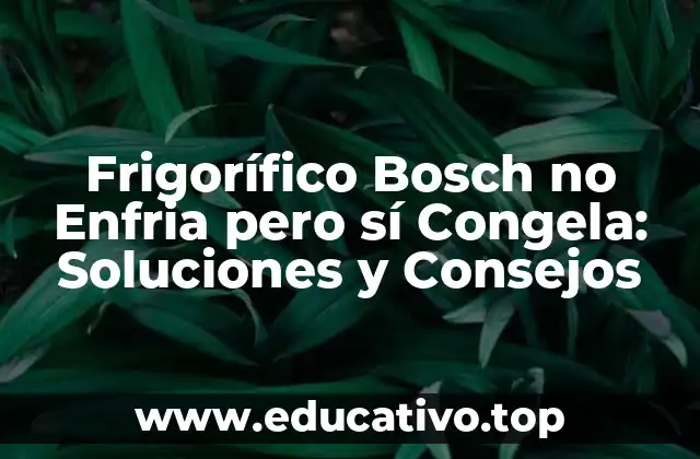 Frigorífico Bosch no Enfria pero sí Congela: Soluciones y Consejos