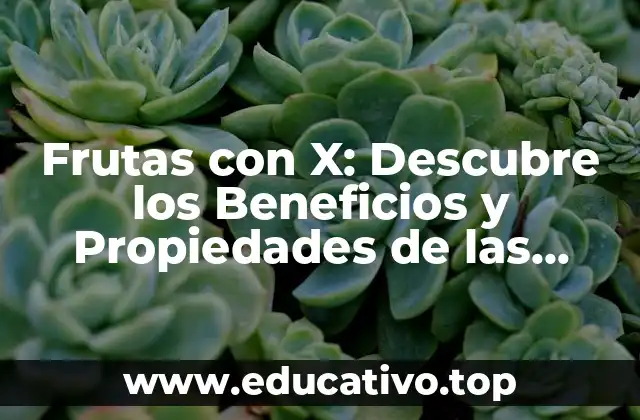 Frutas con X: Descubre los Beneficios y Propiedades de las Frutas con Vitamina X