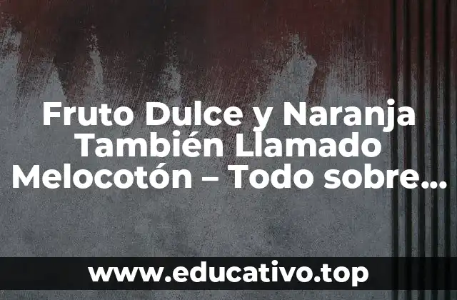 Fruto Dulce y Naranja También Llamado Melocotón – Todo sobre esta Delicia