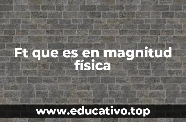 Ft que es en magnitud física
