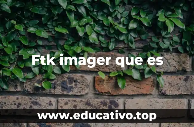 Ftk imager que es