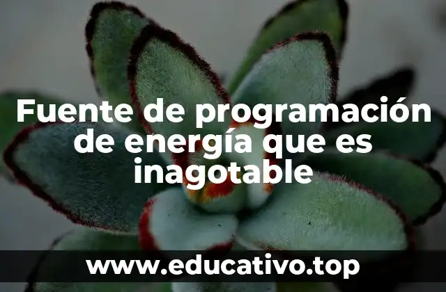 Fuente de programación de energía que es inagotable