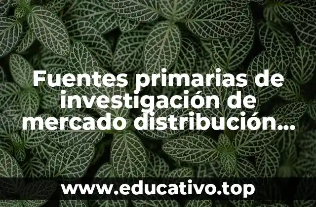 Fuentes primarias de investigación de mercado distribución que es