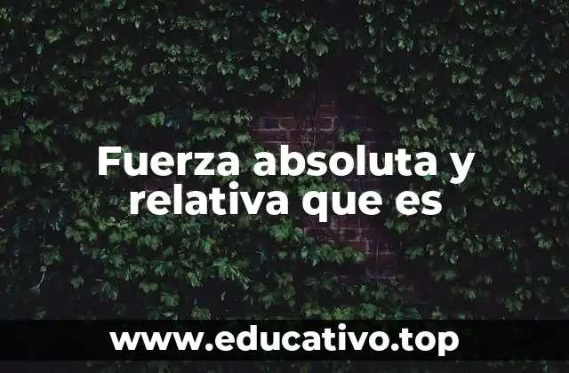 Fuerza absoluta y relativa que es