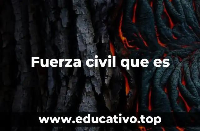 Fuerza civil que es