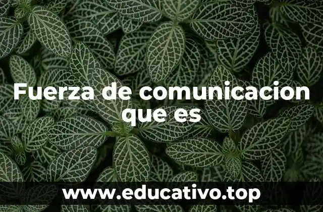 Fuerza de comunicacion que es