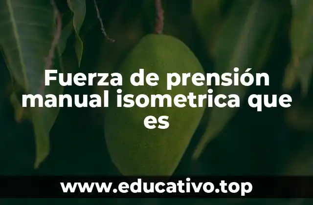 Fuerza de prensión manual isometrica que es