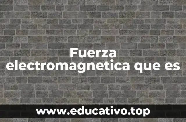 Fuerza electromagnetica que es
