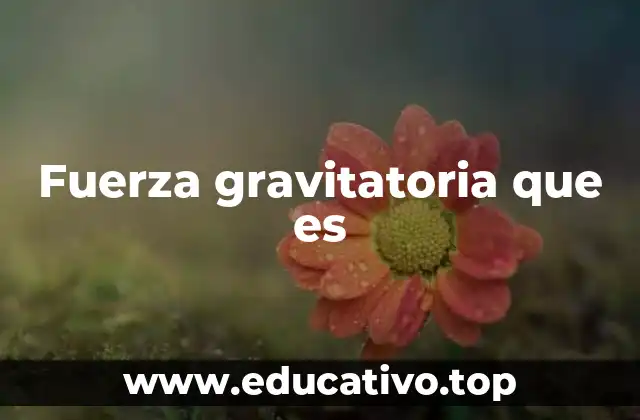 Fuerza gravitatoria que es