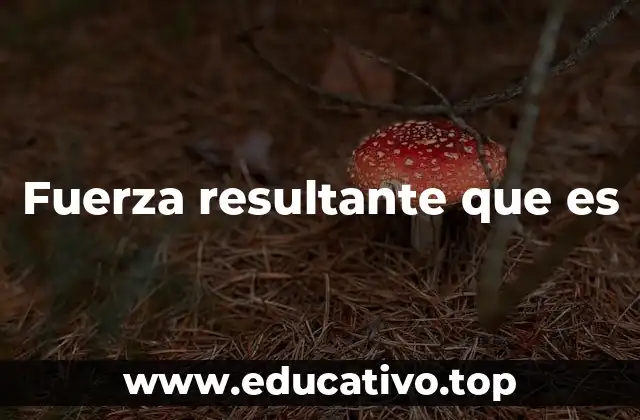 Fuerza resultante que es