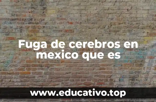 Fuga de cerebros en mexico que es