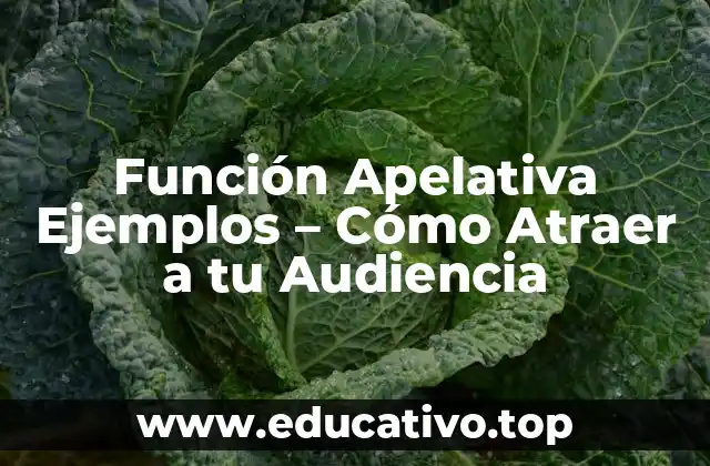 Función Apelativa Ejemplos – Cómo Atraer a tu Audiencia