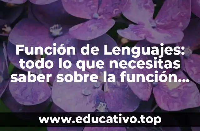 Función de Lenguajes: todo lo que necesitas saber sobre la función de lenguajes