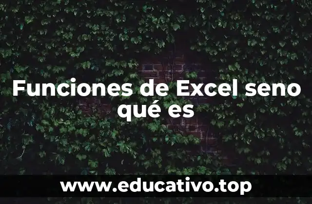 Funciones de Excel seno qué es