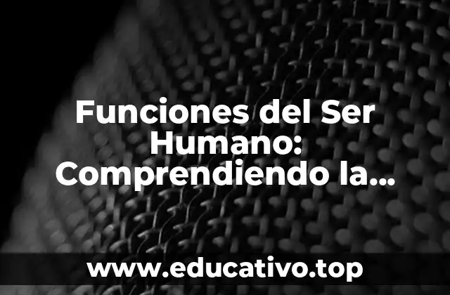 Funciones del Ser Humano: Comprendiendo la Complejidad de la Vida Humana