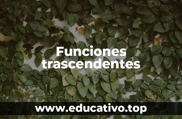 Funciones trascendentes