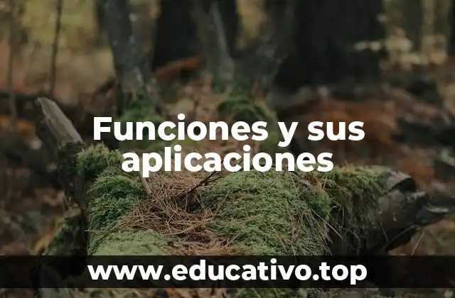 Funciones y sus aplicaciones